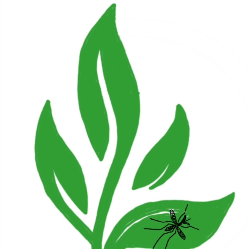 Balma Momma Bug Away Spray